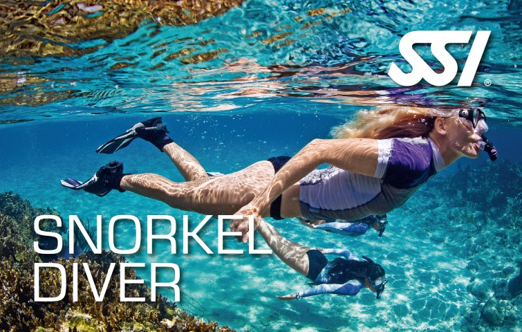 Try Snorkel Diver D2A