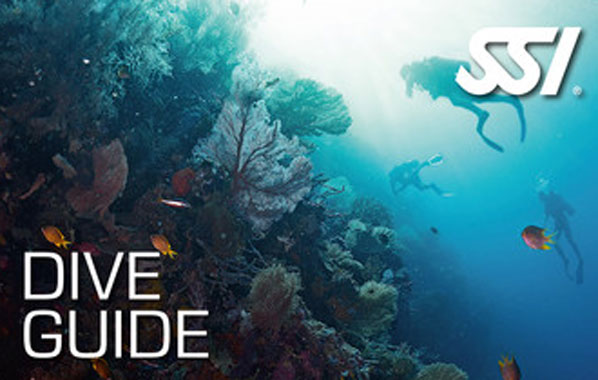 SSI Specialty Dive Guide