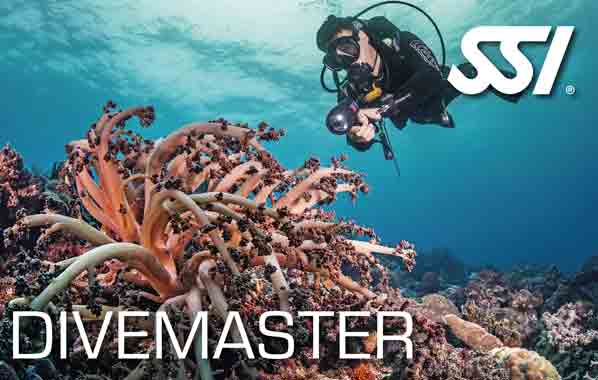 SSI Dive master
