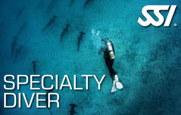 SSI erkenningsbrevet specialty diver