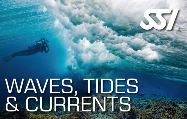 SSI Waves, Tides and Currents